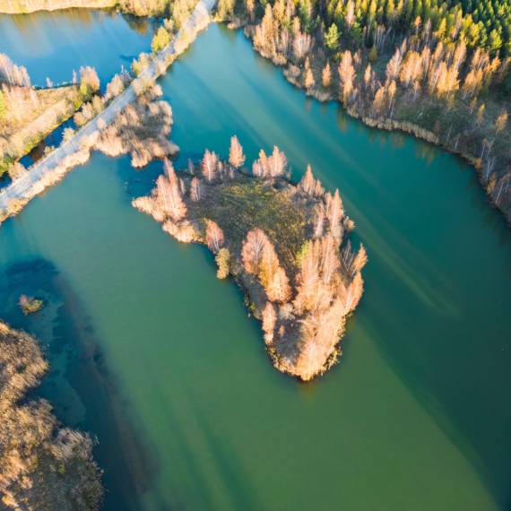 Estonian,Lake,Vandjala,On,An,Autumn,Day,,Photo,From,A