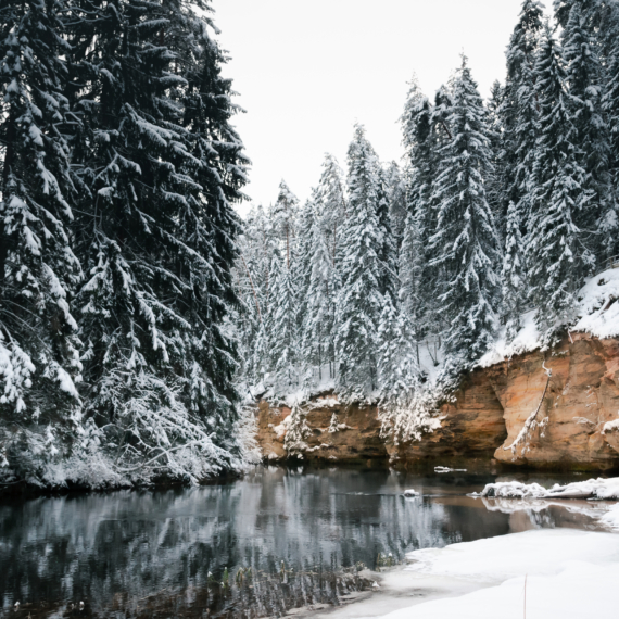 Taevaskoda,And,Its,Nature,In,Estonian,Winter