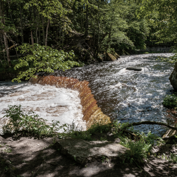 Amber waterfall. Nommeveski cascade on the river Valgejogi in Lahemaa National Park, Estonia (Nõmmeveski, Valgejõgi). Landscape on a spring sunny day.